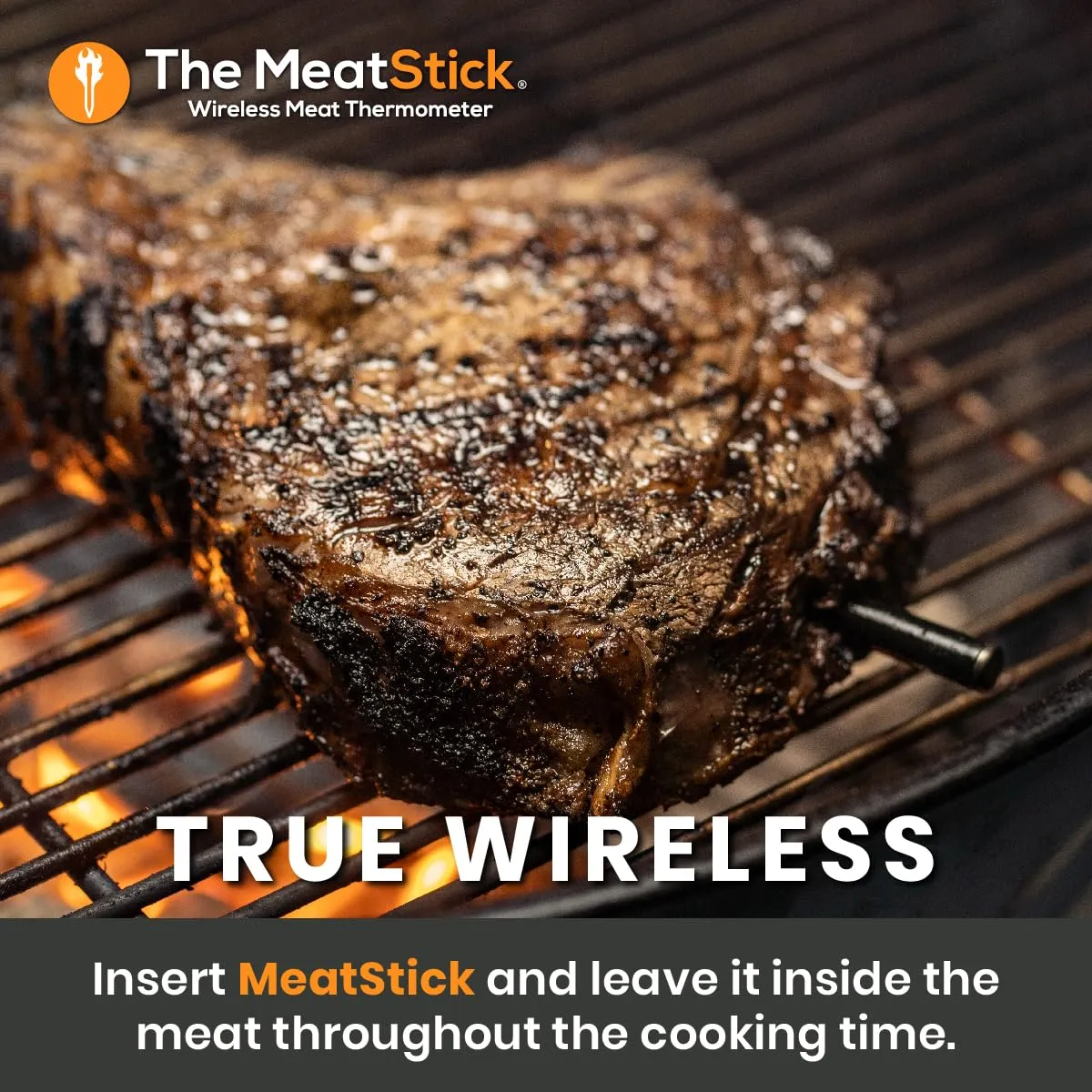 MeatStick WiFi Bridge Set | 2-Probe Package | Smart Wireless Meat Thermometer | Unlimited Range Digital Food Probe with Bluetooth | for Smoking, Grilling, BBQ, Air Fryer, Deep Frying, Oven, Rotisserie